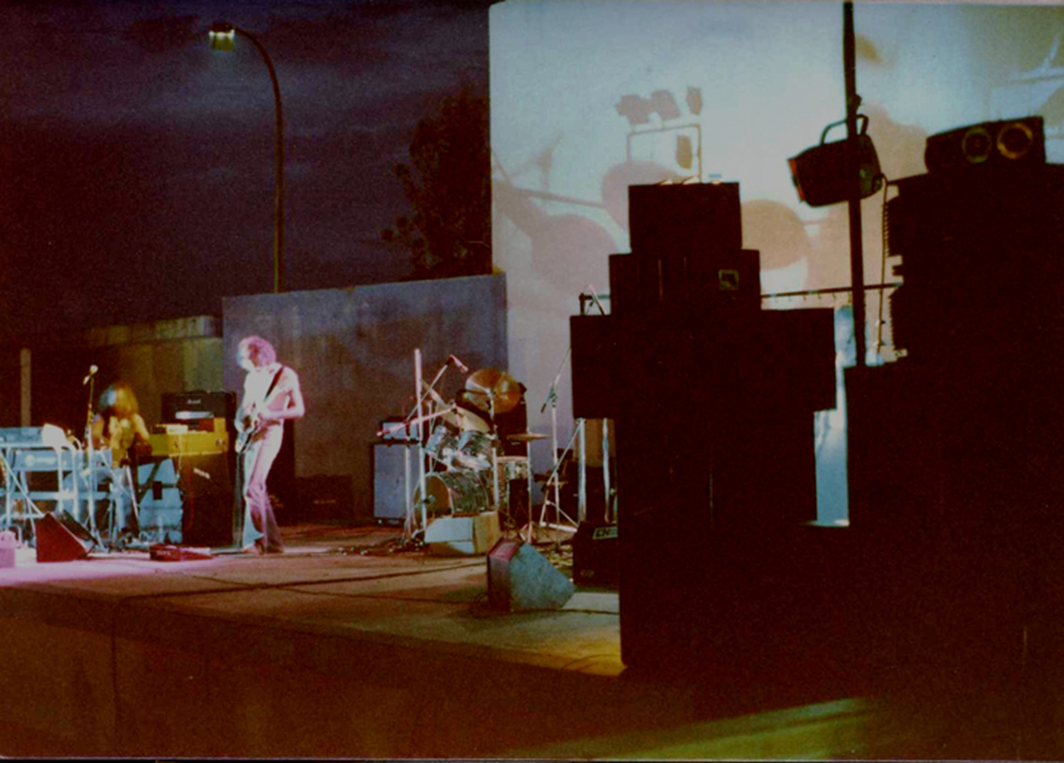 Cotó en pèl (Playa_de_Nules)