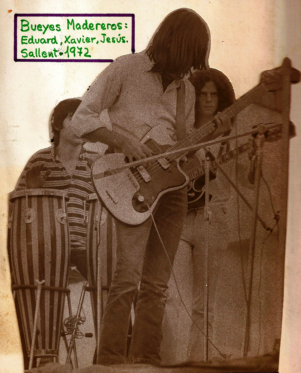 Bueyes Madereros a Sallent (1972)